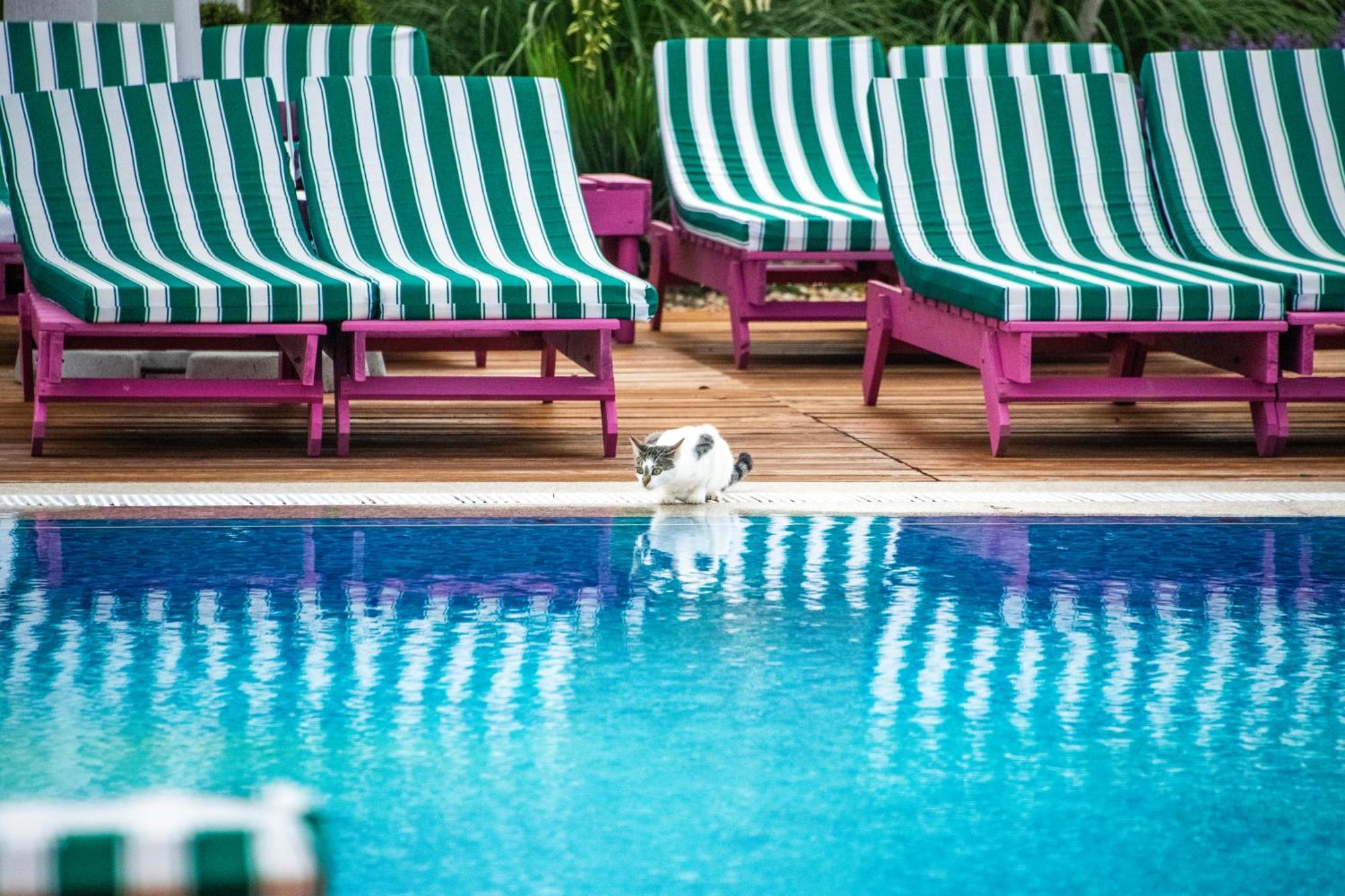Ibis Styles Venus Hotel Buitenkant foto